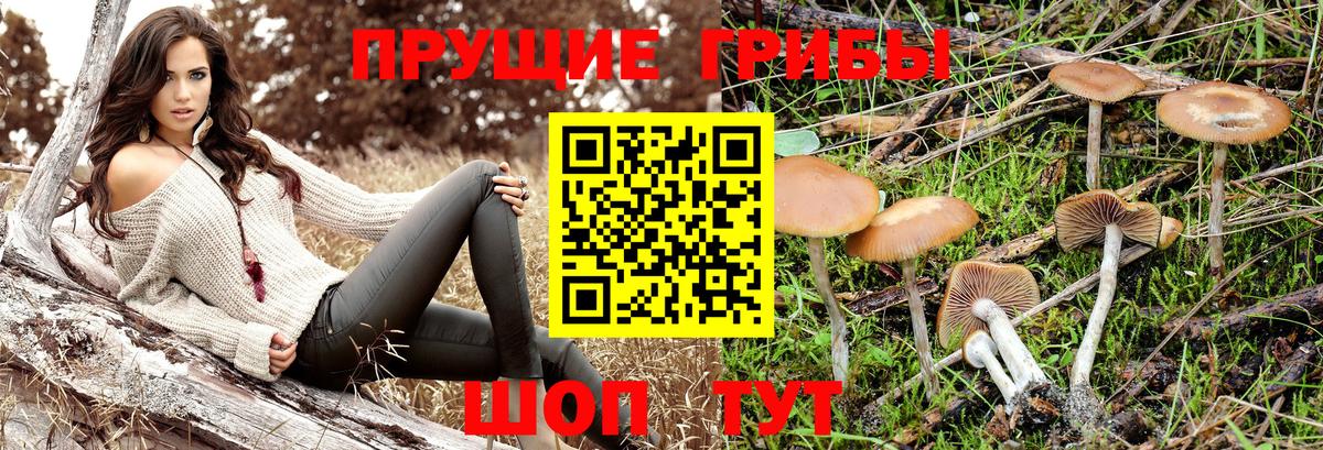 наркота  Псилоцибиновые грибы Magic Shrooms  Вход с VPN  Екатеринбург 